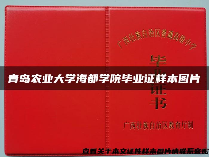 青岛农业大学海都学院毕业证样本图片