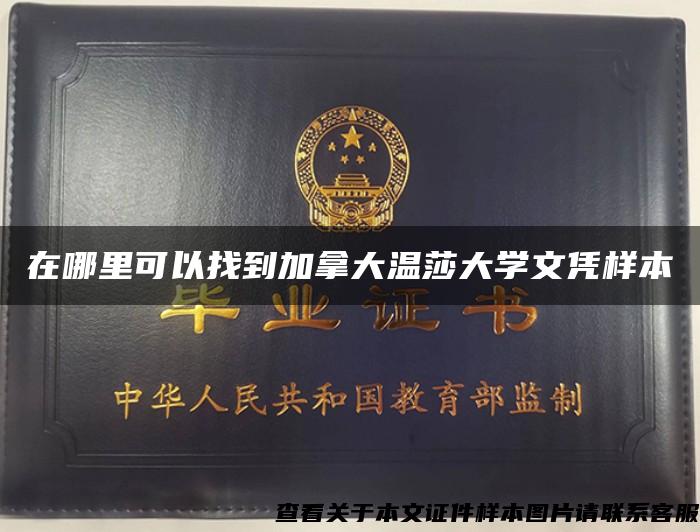 在哪里可以找到加拿大温莎大学文凭样本