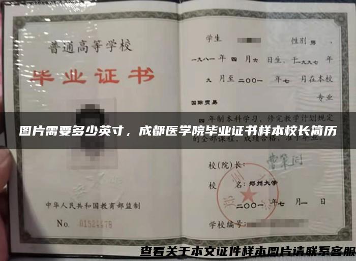 图片需要多少英寸，成都医学院毕业证书样本校长简历