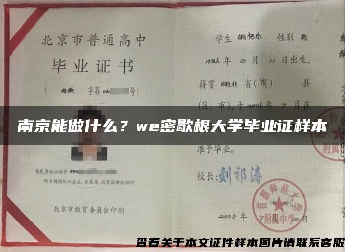 南京能做什么？we密歇根大学毕业证样本