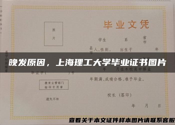 晚发原因，上海理工大学毕业证书图片