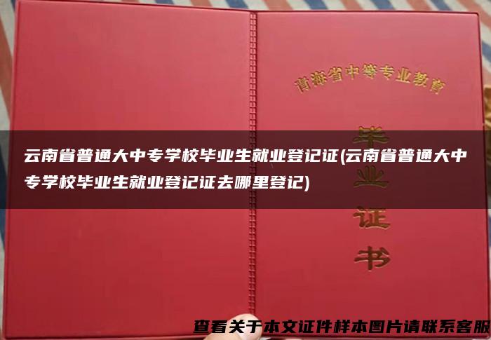 云南省普通大中专学校毕业生就业登记证(云南省普通大中专学校毕业生就业登记证去哪里登记)