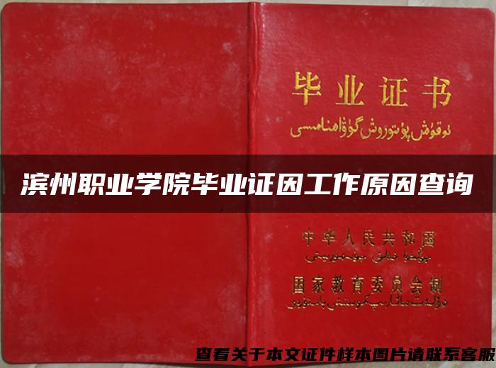 滨州职业学院毕业证因工作原因查询