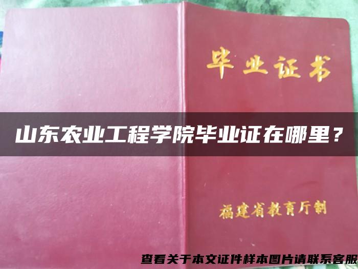 山东农业工程学院毕业证在哪里？