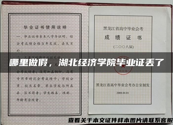 哪里做假，湖北经济学院毕业证丢了