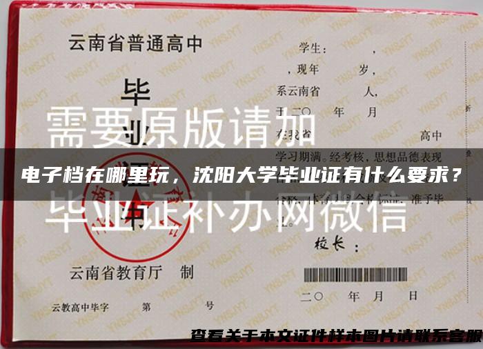 电子档在哪里玩，沈阳大学毕业证有什么要求？