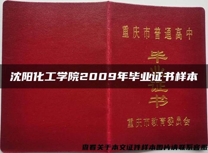 沈阳化工学院2009年毕业证书样本