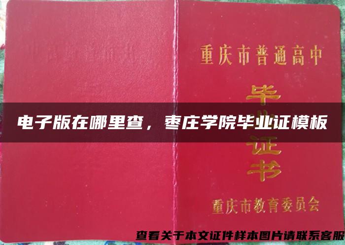 电子版在哪里查，枣庄学院毕业证模板