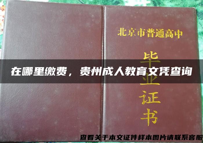 在哪里缴费，贵州成人教育文凭查询