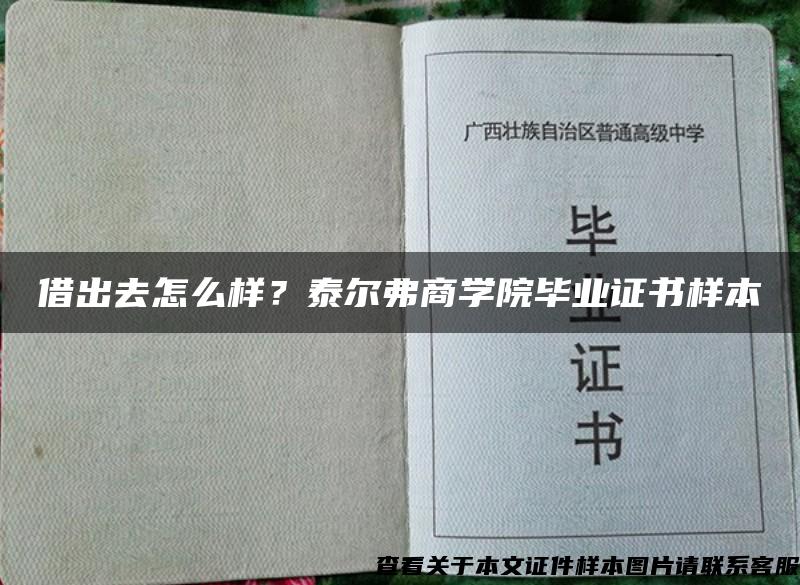 借出去怎么样？泰尔弗商学院毕业证书样本