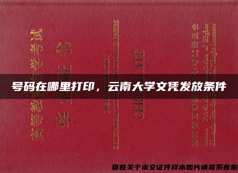 号码在哪里打印，云南大学文凭发放条件