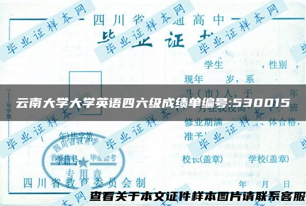 云南大学大学英语四六级成绩单编号:530015