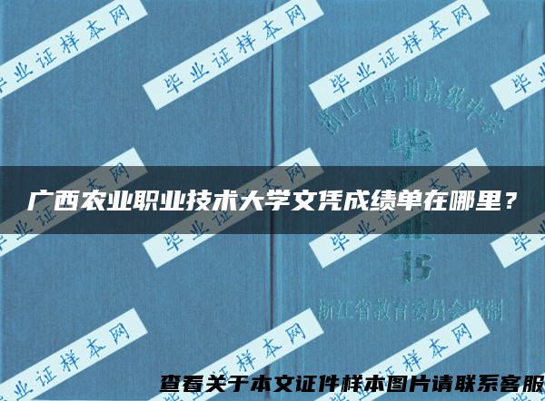 广西农业职业技术大学文凭成绩单在哪里？