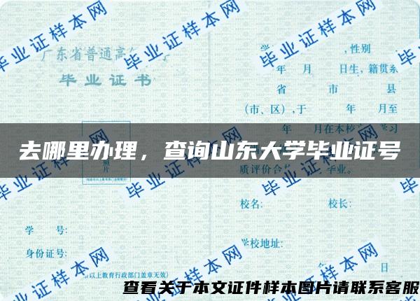 去哪里办理，查询山东大学毕业证号