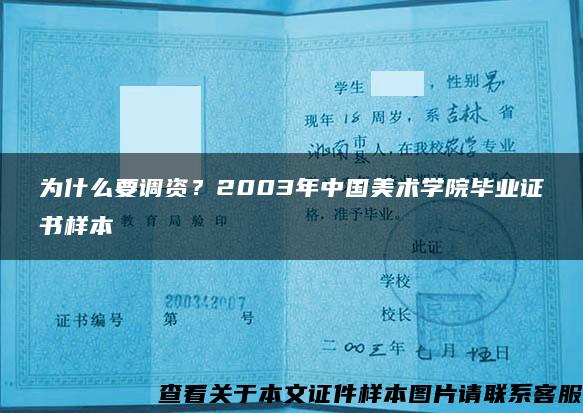 为什么要调资？2003年中国美术学院毕业证书样本