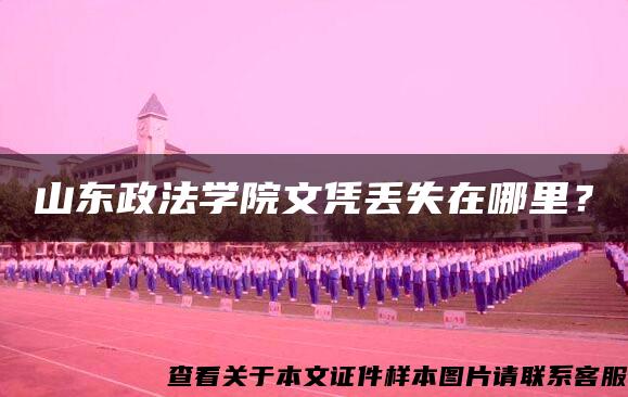 山东政法学院文凭丢失在哪里？