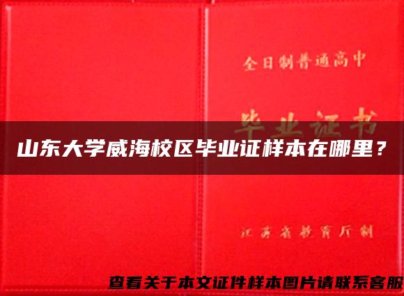 山东大学威海校区毕业证样本在哪里？