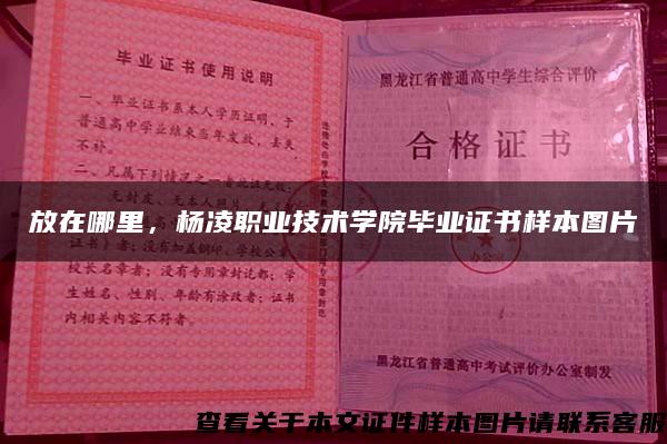 放在哪里，杨凌职业技术学院毕业证书样本图片