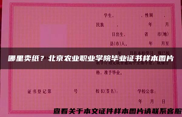 哪里卖纸？北京农业职业学院毕业证书样本图片