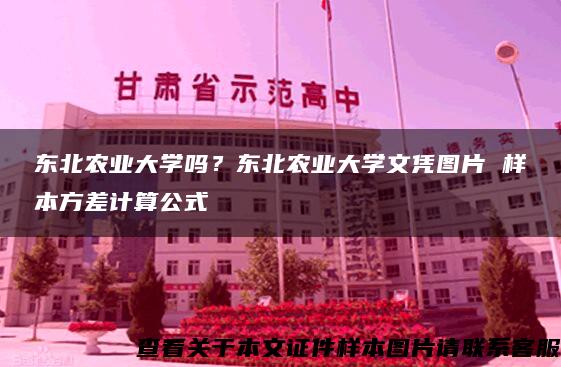 东北农业大学吗？东北农业大学文凭图片 样本方差计算公式