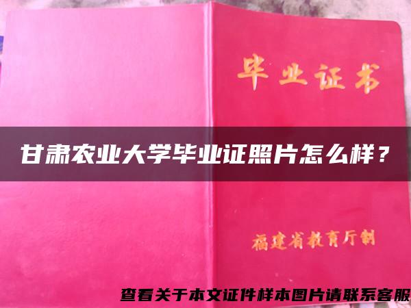 甘肃农业大学毕业证照片怎么样？