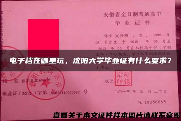 电子档在哪里玩，沈阳大学毕业证有什么要求？