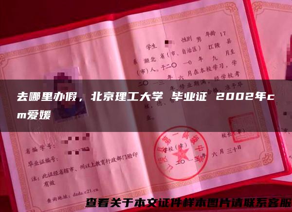 去哪里办假，北京理工大学 毕业证 2002年cm爱媛