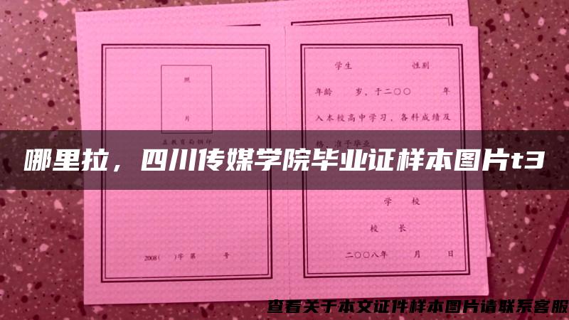 哪里拉，四川传媒学院毕业证样本图片t3