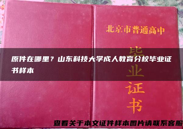 原件在哪里？山东科技大学成人教育分校毕业证书样本