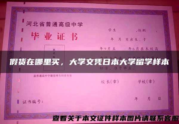 假货在哪里买，大学文凭日本大学留学样本