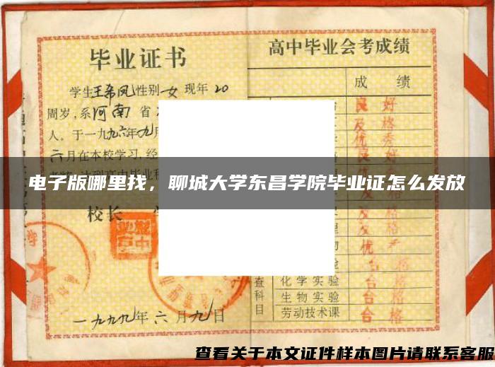 电子版哪里找，聊城大学东昌学院毕业证怎么发放