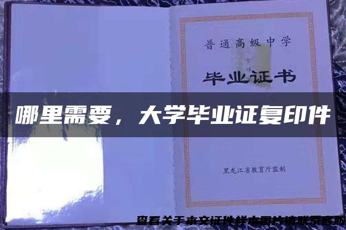 哪里需要，大学毕业证复印件