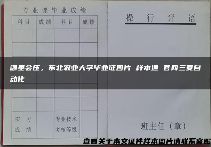 哪里会压，东北农业大学毕业证图片 样本通 官网三菱自动化