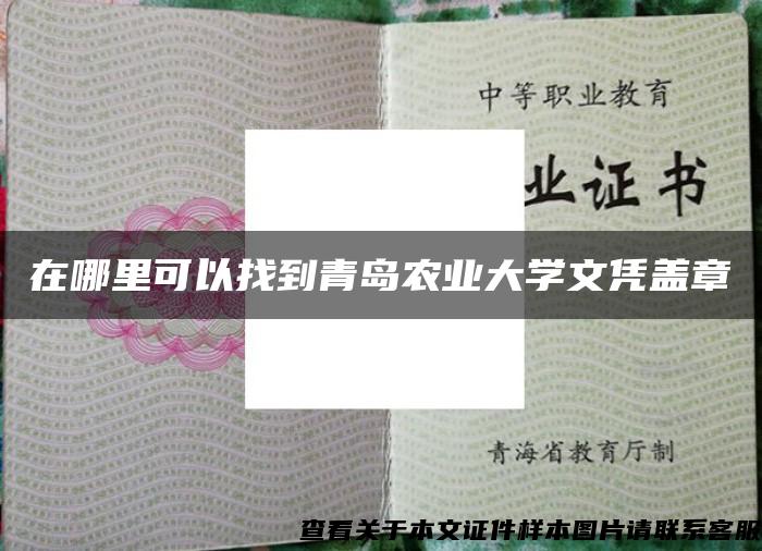 在哪里可以找到青岛农业大学文凭盖章