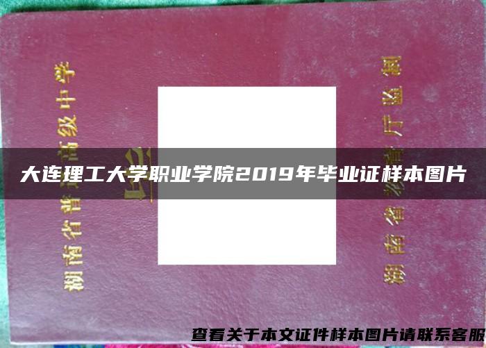 大连理工大学职业学院2019年毕业证样本图片