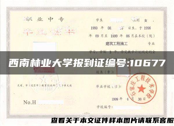 西南林业大学报到证编号:10677