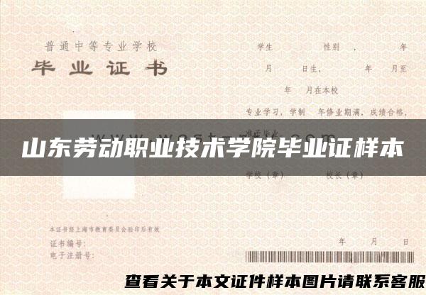 山东劳动职业技术学院毕业证样本