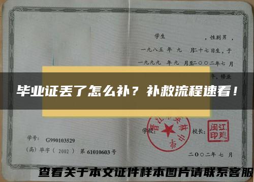 毕业证丢了怎么补？补救流程速看！