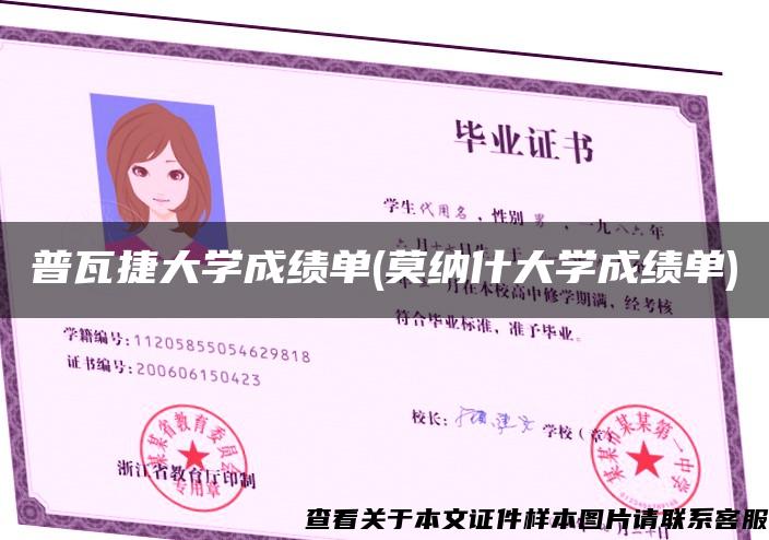 普瓦捷大学成绩单(莫纳什大学成绩单)