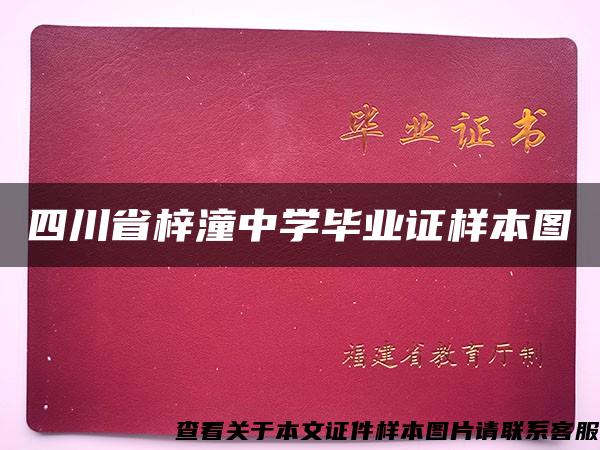 四川省梓潼中学毕业证样本图