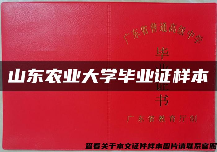 山东农业大学毕业证样本