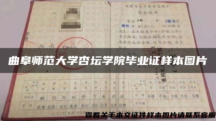 曲阜师范大学杏坛学院毕业证样本图片