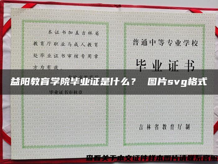 益阳教育学院毕业证是什么？ 图片svg格式