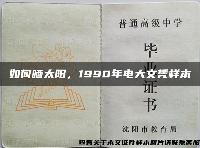 如何晒太阳，1990年电大文凭样本