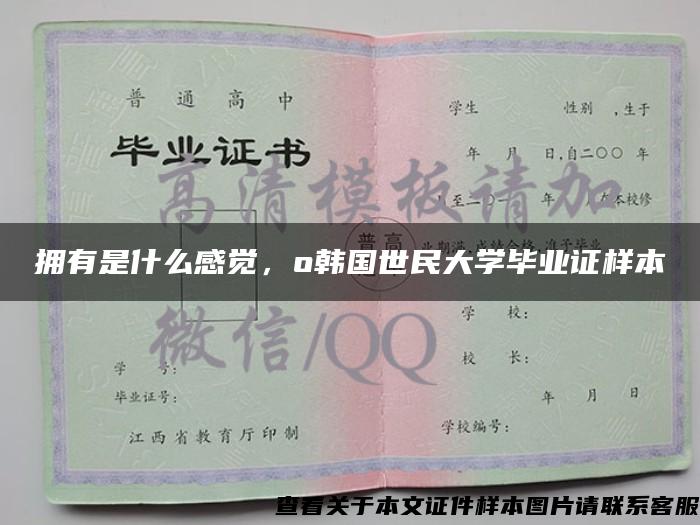 拥有是什么感觉，o韩国世民大学毕业证样本