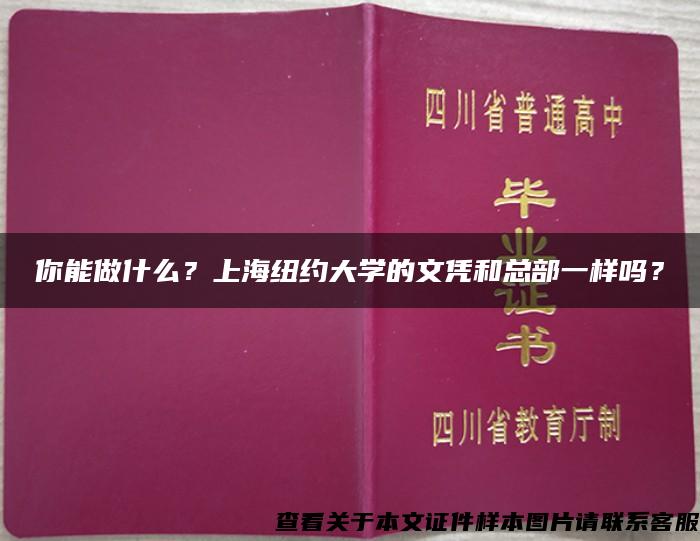 你能做什么？上海纽约大学的文凭和总部一样吗？