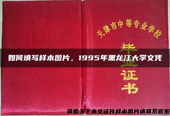 如何填写样本图片，1995年黑龙江大学文凭