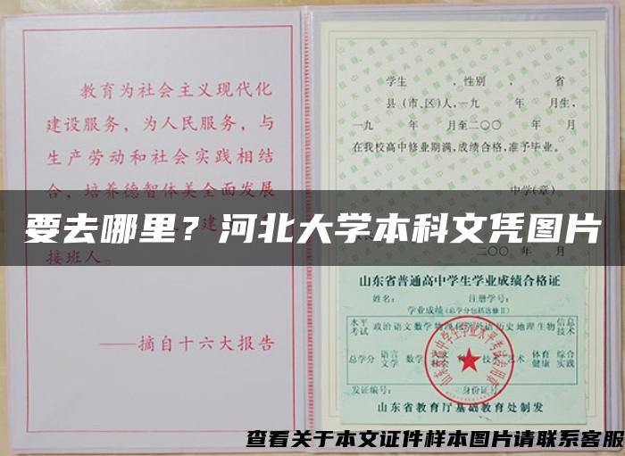 要去哪里？河北大学本科文凭图片