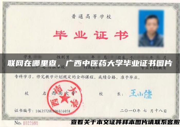 联网在哪里查，广西中医药大学毕业证书图片