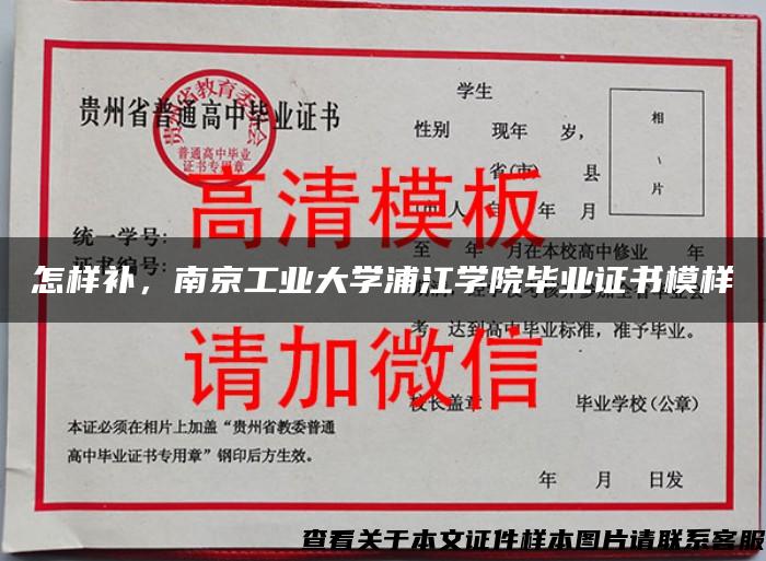 怎样补，南京工业大学浦江学院毕业证书模样